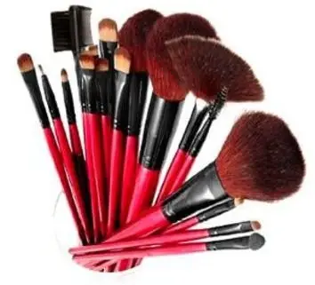SHANY Professional 13-Piece Cosmetic Brush Set with Pouch